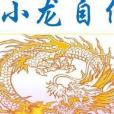 張小龍傳 張小龍傳