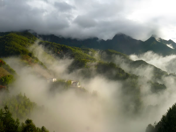 雲頂茶園度假村