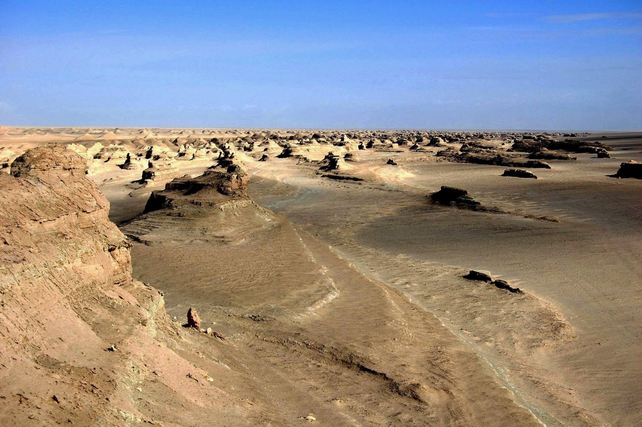 新疆羅布泊野駱駝國家級自然保護區
