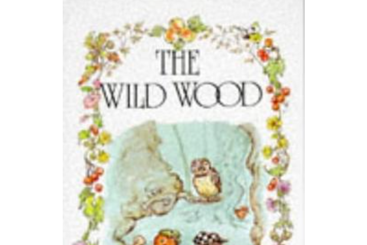 The Wild Wood The Wild Wood