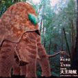 大王陸魷