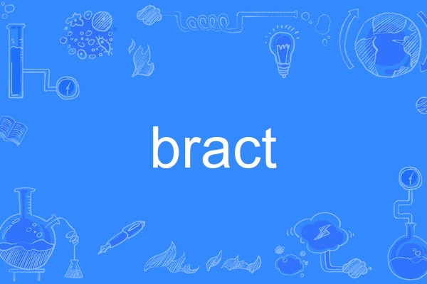 bract bract
