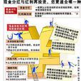 紅利再投資 紅利再投資