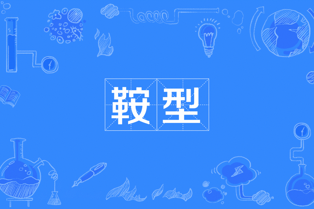 鞍型 鞍型