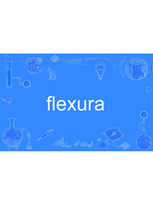 flexura flexura