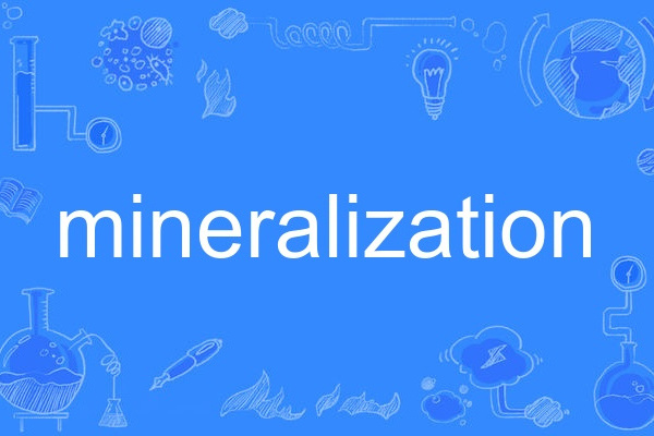 mineralization mineralization