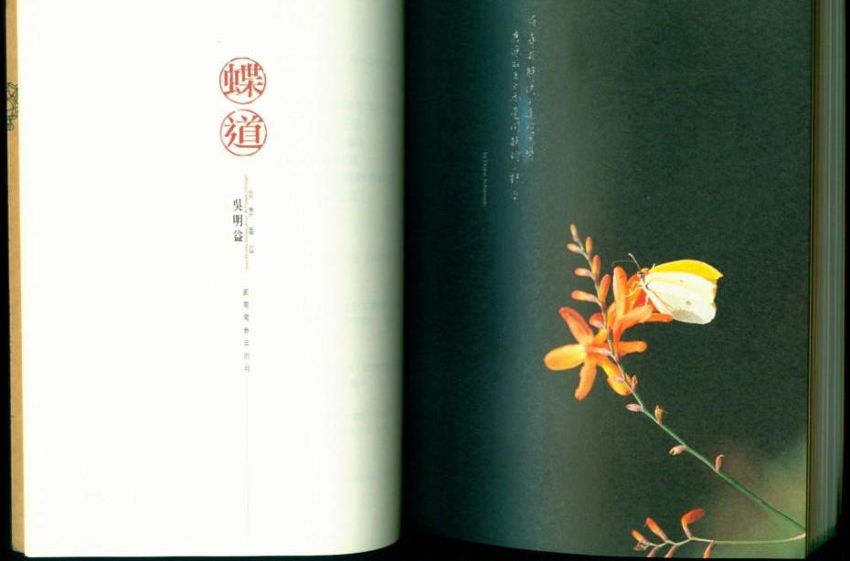 蝶道 蝶道