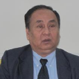 張良民(北京外國語學院教授) 張良民(北京外國語學院教授)