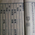 東漢觀記 東漢觀記