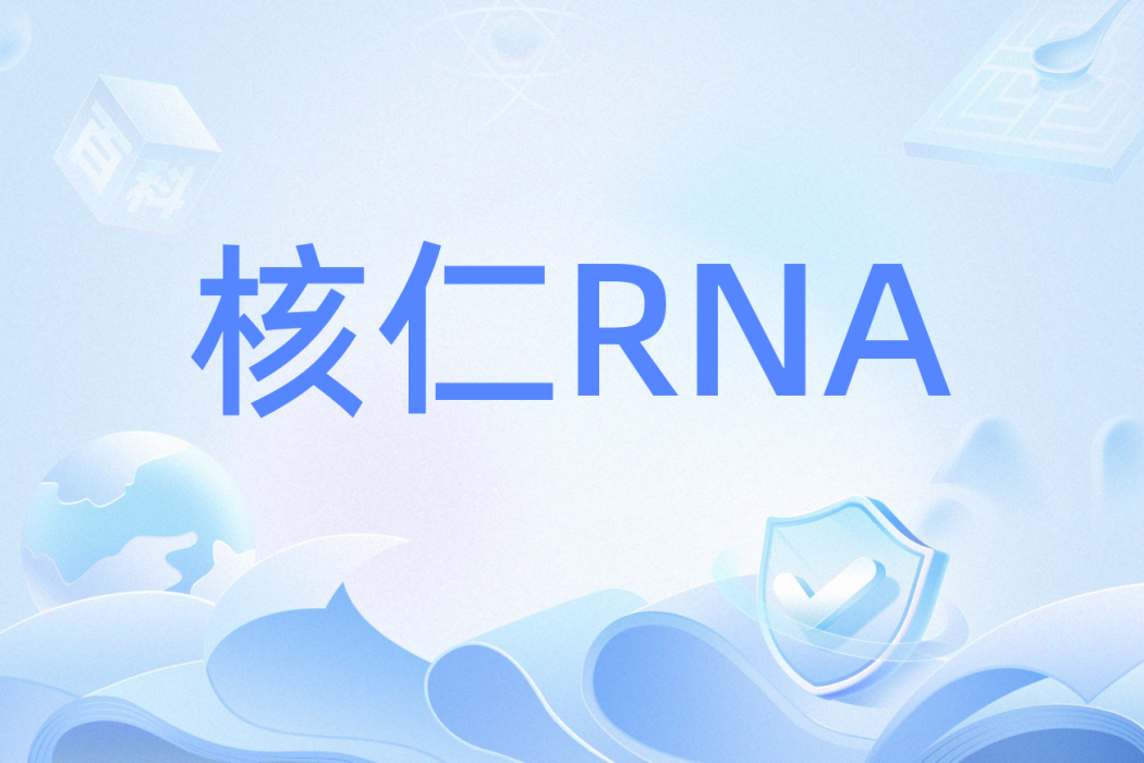 核仁RNA 核仁RNA