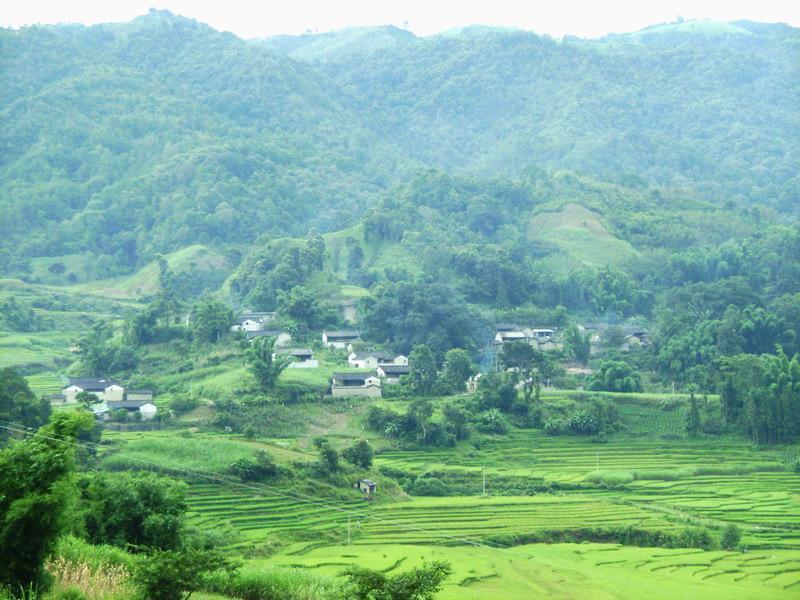 龍窩寨村 龍窩寨村
