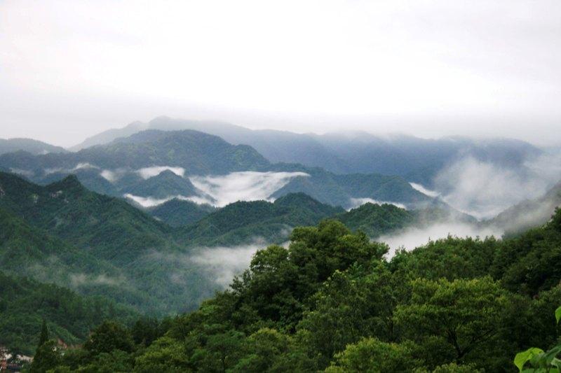寶天曼國家級自然保護區