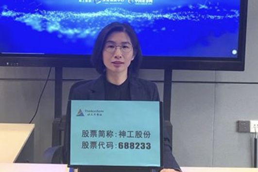 袁欣(神工股份董事) 袁欣(神工股份董事)