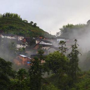 白際鄉