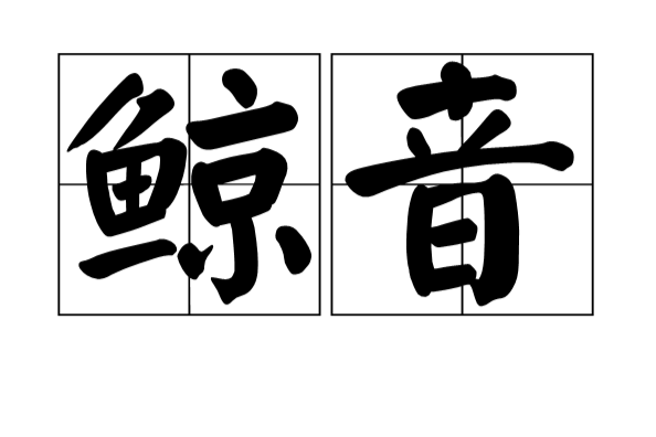 鯨音 鯨音