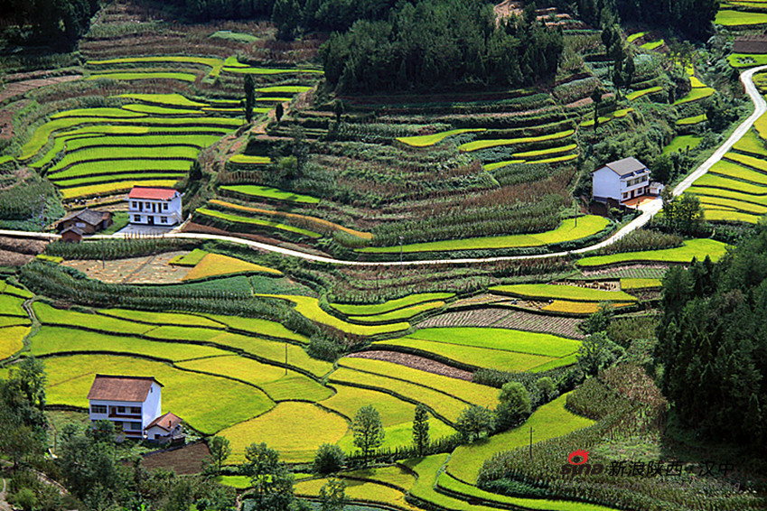 漩三公路 漩三公路