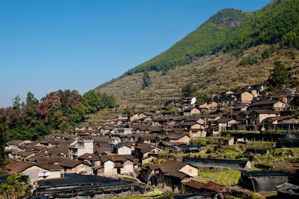 官嶺村(浙江省麗水市松陽縣新興鎮下轄行政村) 官嶺村(浙江省麗水市松陽縣新興鎮下轄行政村)
