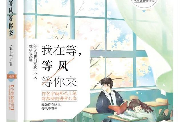 陸維安(小說我在等,等風等你來裡面的男主角) 陸維安(小說我在等,等風等你來裡面的男主角)