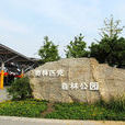 奧林匹克森林公園