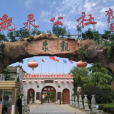 龍泉公社 龍泉公社