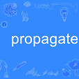 propagate propagate