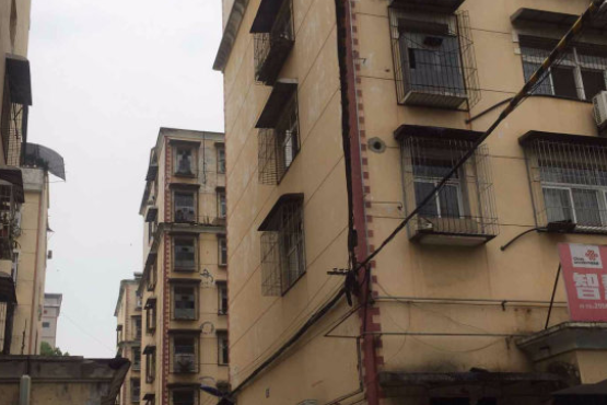 建新東區 建新東區