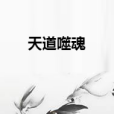 天道噬魂 天道噬魂