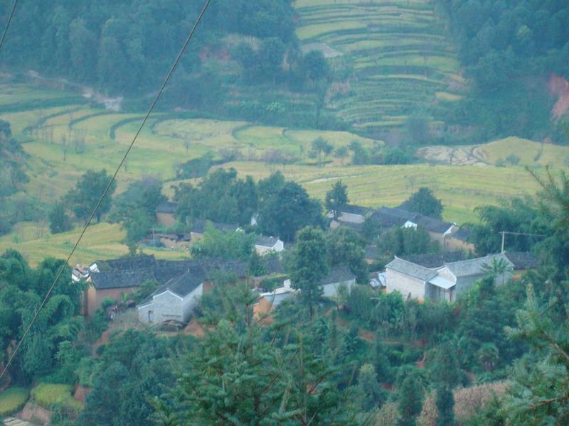 規安村 規安村