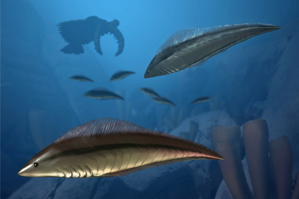 鳳嬌昆明魚 鳳嬌昆明魚