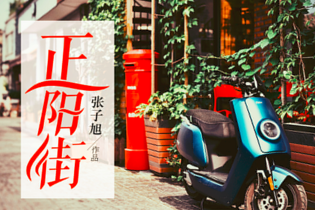 正陽街(家庭類長篇系列文) 正陽街(家庭類長篇系列文)