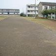 雲鶴中學 雲鶴中學