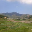 前洋村(福建省泉州安溪縣大坪鄉下轄村) 前洋村(福建省泉州安溪縣大坪鄉下轄村)