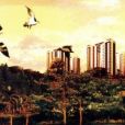 景寓學府