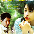 迷路(2007年張龍禹執導電視劇) 迷路(2007年張龍禹執導電視劇)
