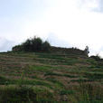 桂陽村(福建省泉州市德化縣桂陽鄉桂陽村) 桂陽村(福建省泉州市德化縣桂陽鄉桂陽村)