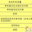 緩衝區溢出 緩衝區溢出