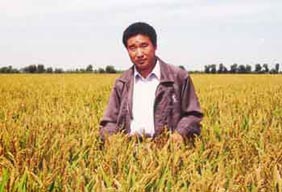 陳溫福:鍥而不捨的超級稻育種家