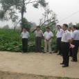 小洛莊村 小洛莊村