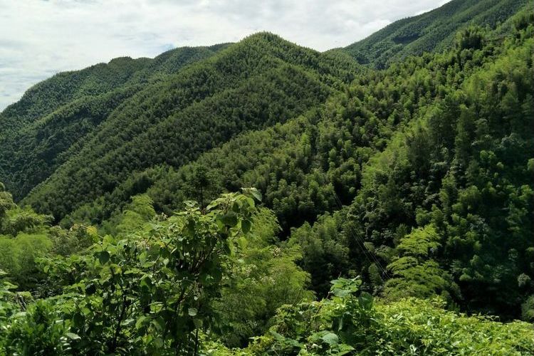 萬峰山(湖南省邵陽市新寧縣境內山峰) 萬峰山(湖南省邵陽市新寧縣境內山峰)