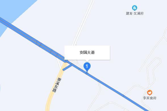 安國大道 安國大道