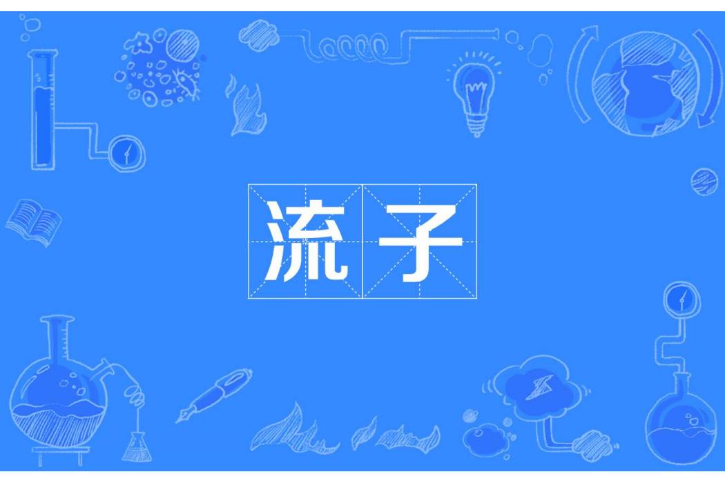 流子 流子