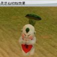 靈芝仙 靈芝仙