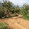 下村村(山西省晉城市澤州縣下村鎮下轄村) 下村村(山西省晉城市澤州縣下村鎮下轄村)