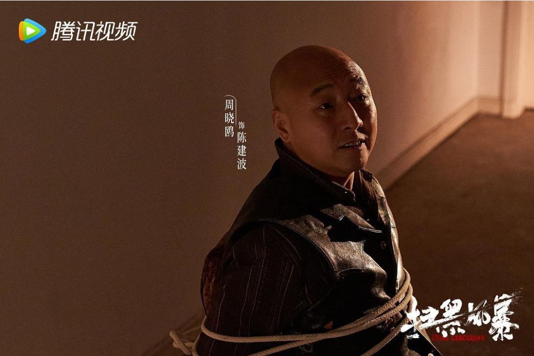 陳建波(電視劇《掃黑風暴》中的人物) 陳建波(電視劇《掃黑風暴》中的人物)