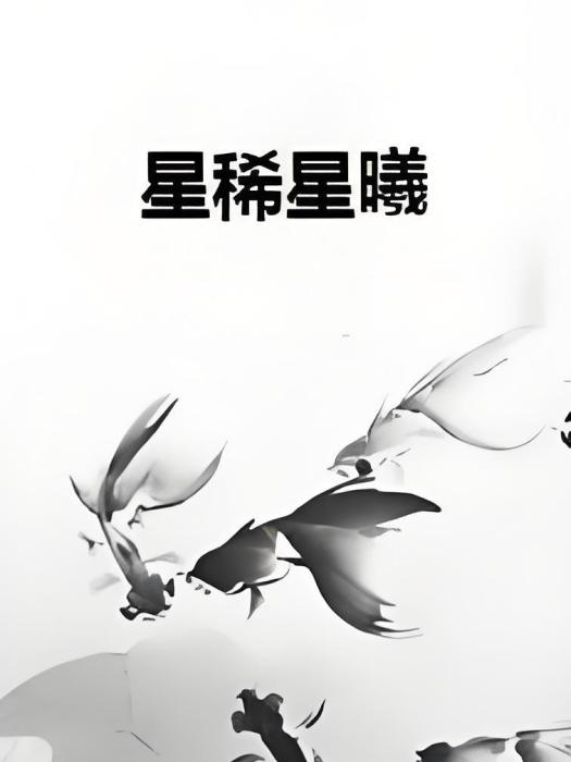 星稀星曦