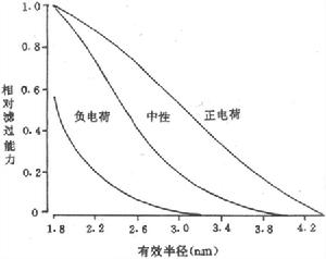 不同有效半徑帶不同電荷對右旋糖酐濾過作用