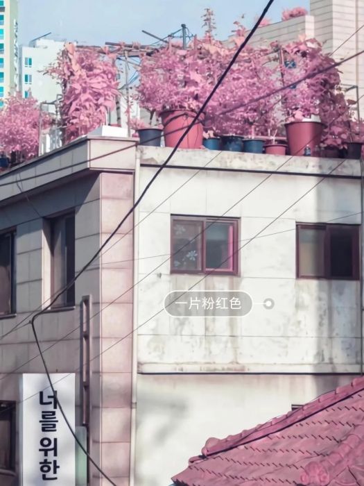 喪系句子 喪系句子
