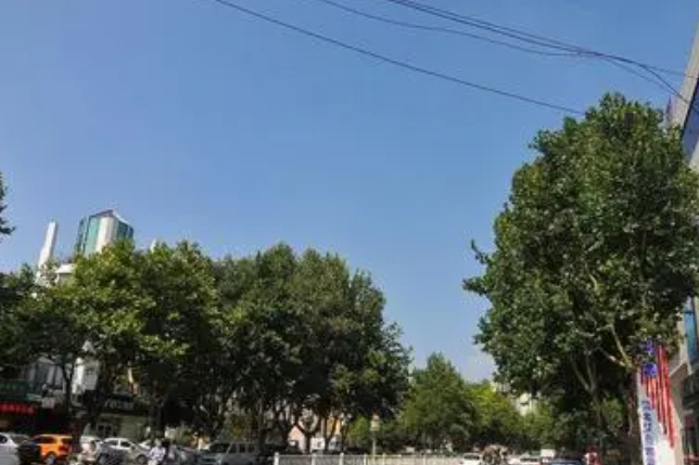 君峰路 君峰路