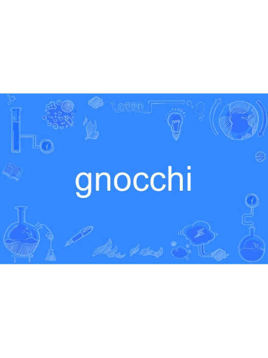 gnocchi gnocchi