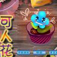 可人花 可人花